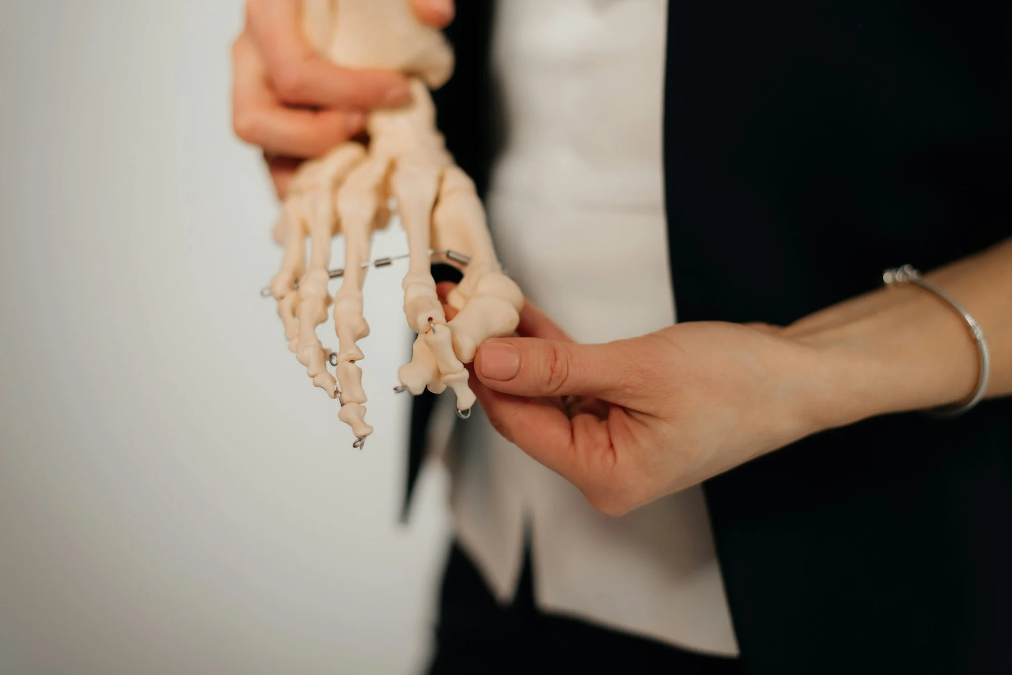 Person holding an anatomical foot bone skeleton model with both hands